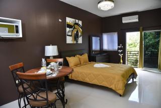 Do not book check our other listings - Montego Bay - 8