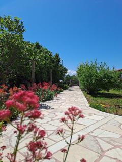 Apartments with parking spaces Sucuraj, Hvar - 24563 - Sućuraj (San Giorgio) - 4