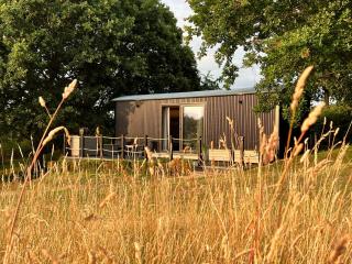 Molly Top Farm - Marsham - 0