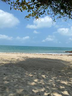 Las Margaritas Frente al Mar 2 - 4