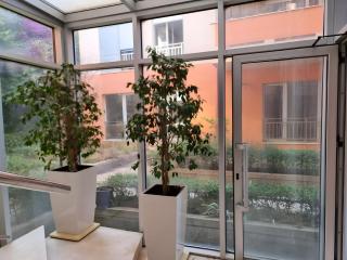 Apartment, 500m from sandy beach - Vlora - 6