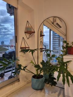 Hermoso Departamento en Palermo, muy tranquilo y bien ubicado - Buenos Aires - 9