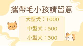 寵物友善-無門禁24小時進出-水母漂民宿-免費停車 - 9