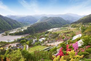 Bonghwa Power Plant Guesthouse - Bonghwa - 4
