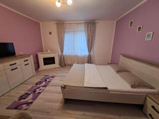 Casa DucAna - Orşova - 7
