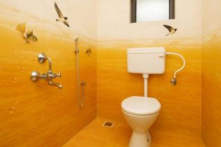 Gold Coin Boutique Apartments - Calangute - 7