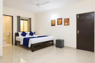 Gold Coin Boutique Apartments - Calangute - 5