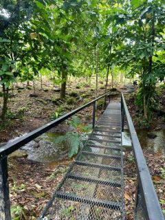 Casa de Bosque con Piscina - 5