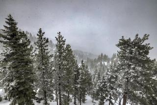 Valley View - Carson Valley Views - Stateline - 7