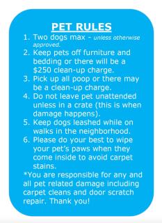 Willow's Hideaway - Pet Friendly Cozy Cabin - South Lake Tahoe - 7