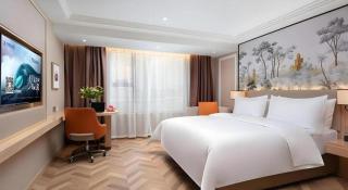 Vienna Hotel Yongzhou Dong'an High-Speed Railway Station - Guzhuting - 9