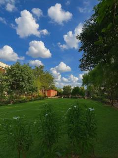 8 Bedroom Private Luxury Farm with Pool, Garden & Game Room - Jaipur - 7
