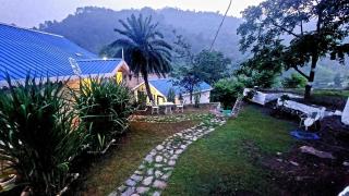DM Farms Morni Hills Panchkula - Morni - 5