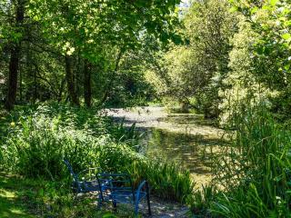 The Shippen - Uk49830 - Callington - 4