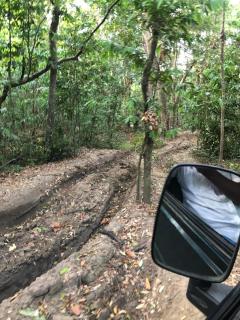 Yala - Kabiliththa Jeep Tour Camping - Kataragama - 2