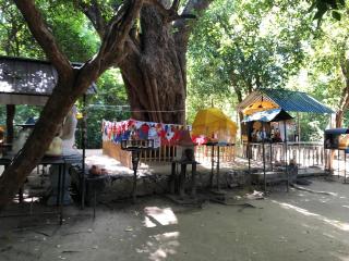 Yala - Kabiliththa Jeep Tour Camping - Kataragama - 1