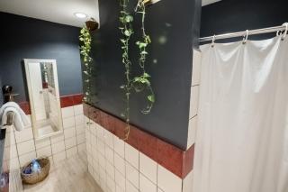OCEAN Nest with Self-Service Breakfast - Pet Friendly, AC, Monkeys! - - 3