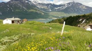 Chalet d'alpage de Savalin à 2000 mètres d'altitude au lac du Mont-Cenis - Val Cenis - 8