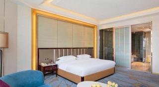 Metropolo Hotel Yining Development Zone Hanma Building - Kipekyüzi - 1