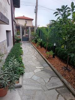 Студио Мурите - 1