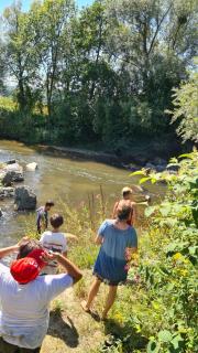 Hof Notburga - Erholung, Ruhe & Natur pur - - 1
