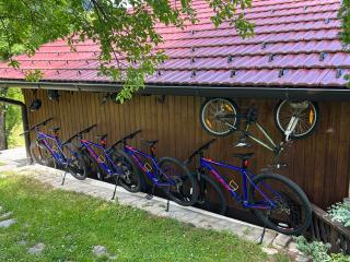 D.I.M. Holiday House - Selište Drežničko - 8