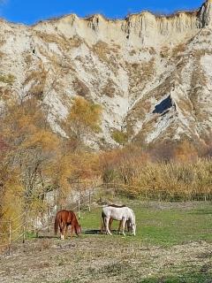 B&B di Paola e Luca - 2