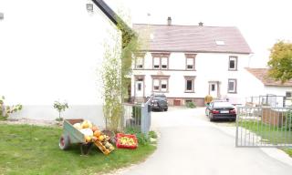 Pferdehof Bickenalb - Blieskastel - 9