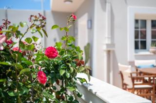 Casa Maestrale - Kalymnos - 5