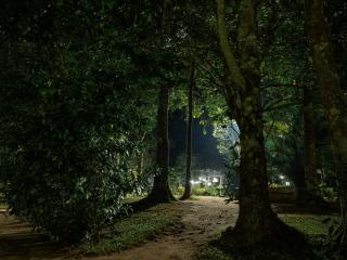 The Mountain Courtyard Thekkady - Thekkady - 4