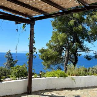 Falcon view B&B - Città di Alonissos - 8