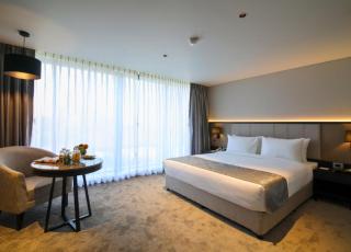Essentia Premier Hotel Pune Wakad - Pune - 8