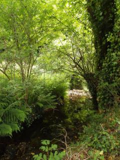 Gite Salamandre - 1