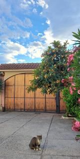 Amora Apartments - FREE parking - Mostar - 6