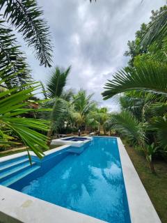 Champagne Palm Resort - Panglao Island - 2