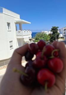 Domenico's HOME - Polignano a Mare - 9