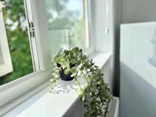 Long Term Comfort - 2BR Haven - 1