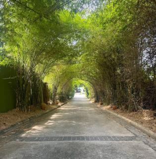 Poonsuk beach home - Mae Nam - 8