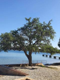 Apartman Ines - Poreč - 1