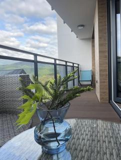 Apartamenty Szóstka - Kamienna 1D - Wisła - 9