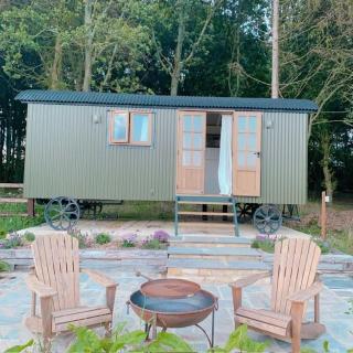 Woodland Cotswold Shepherds Hut - Bruern - 8