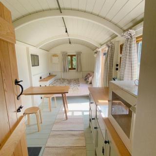 Woodland Cotswold Shepherds Hut - Bruern - 7