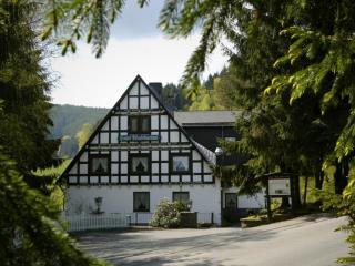 Exclusive group house in Winterberg in the forest - Winterberg - 7
