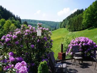 Exclusive group house in Winterberg in the forest - Winterberg - 6