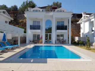 Usan Villa 4 Bedroom Private Villa in Hisaronu - Fethiye - 0