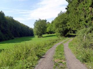 Ferienwohnung Jacobi Kurfürst - 6