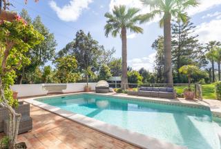 Splendid Penina Country House Retreat - Figueira - 9