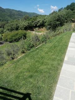 Il colle - Lucca - 7