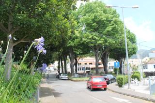 OurMadeira - SeaView Apartment, countryside - 1