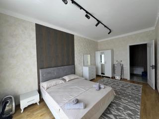 Modern style apartment on the Haydar Aliyev center - Baku - 1